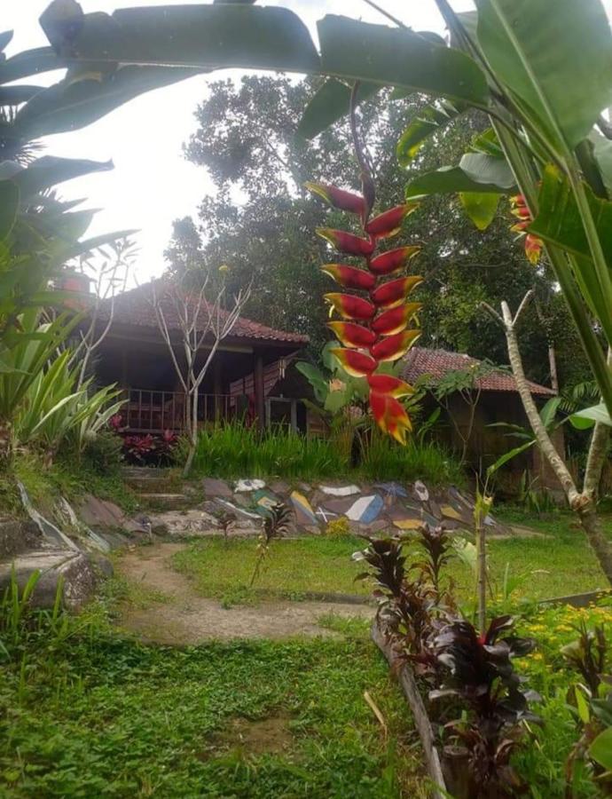 Ferienwohnung Sky garden Lombok Tetebatu Exterior foto