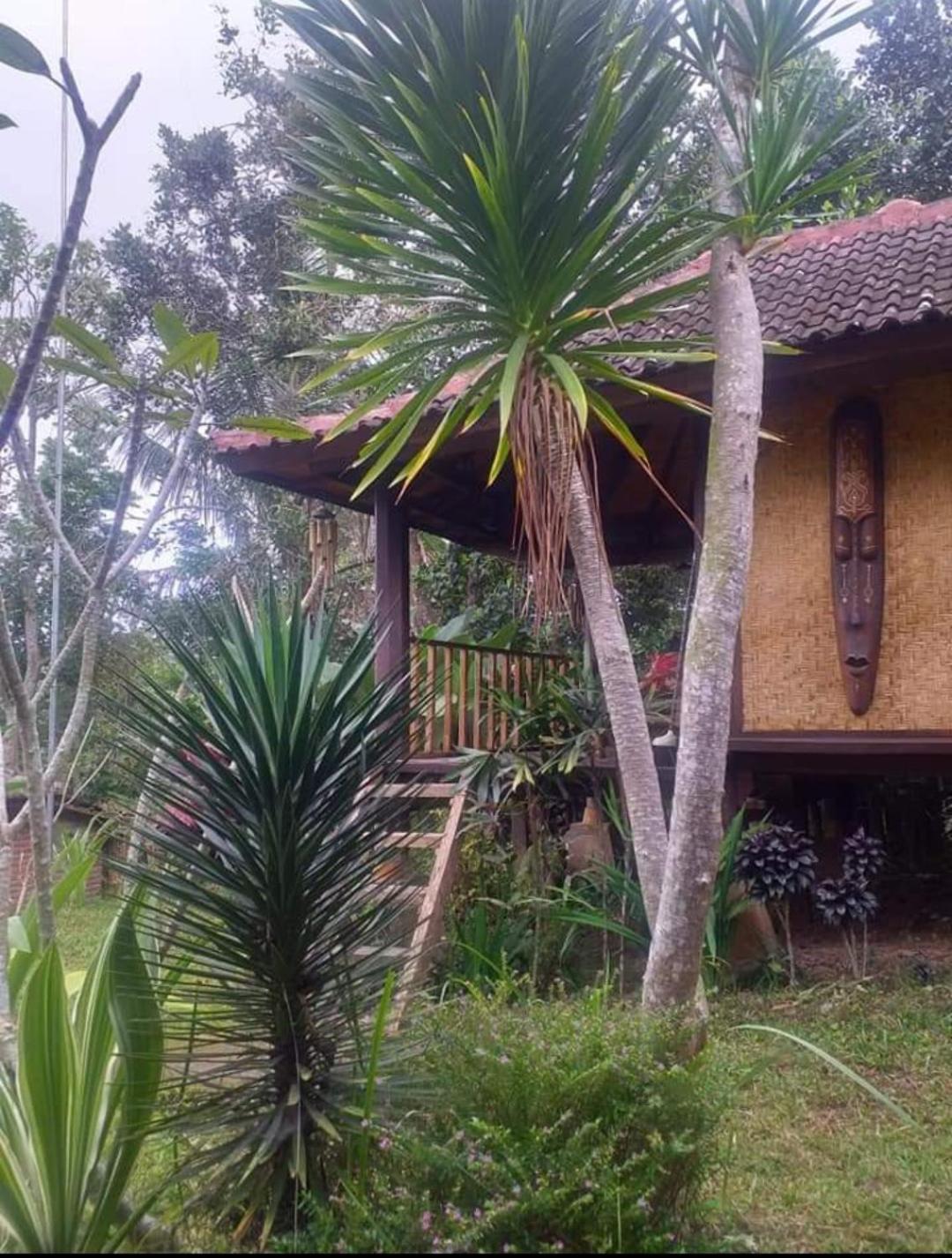 Ferienwohnung Sky garden Lombok Tetebatu Zimmer foto